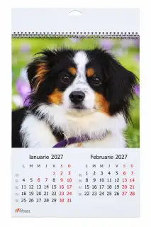Calendar A3 6 coli - Catelusi 2027