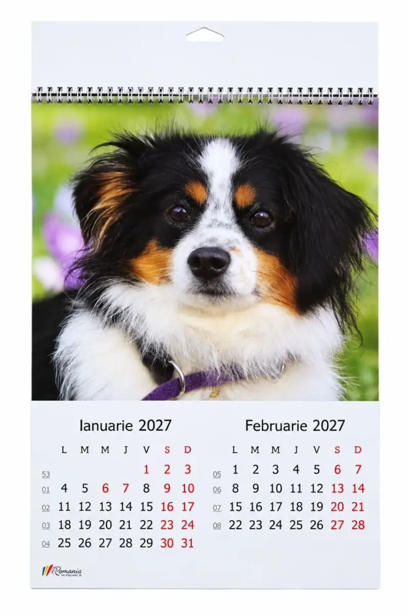 Calendar A3 6 coli - Catelusi 2027