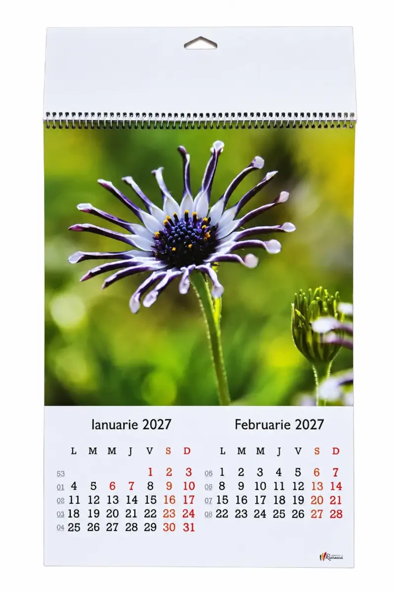 Calendar A3 6 coli - Flori2027