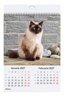 Calendar A3 6 coli - Pisicute 2027
