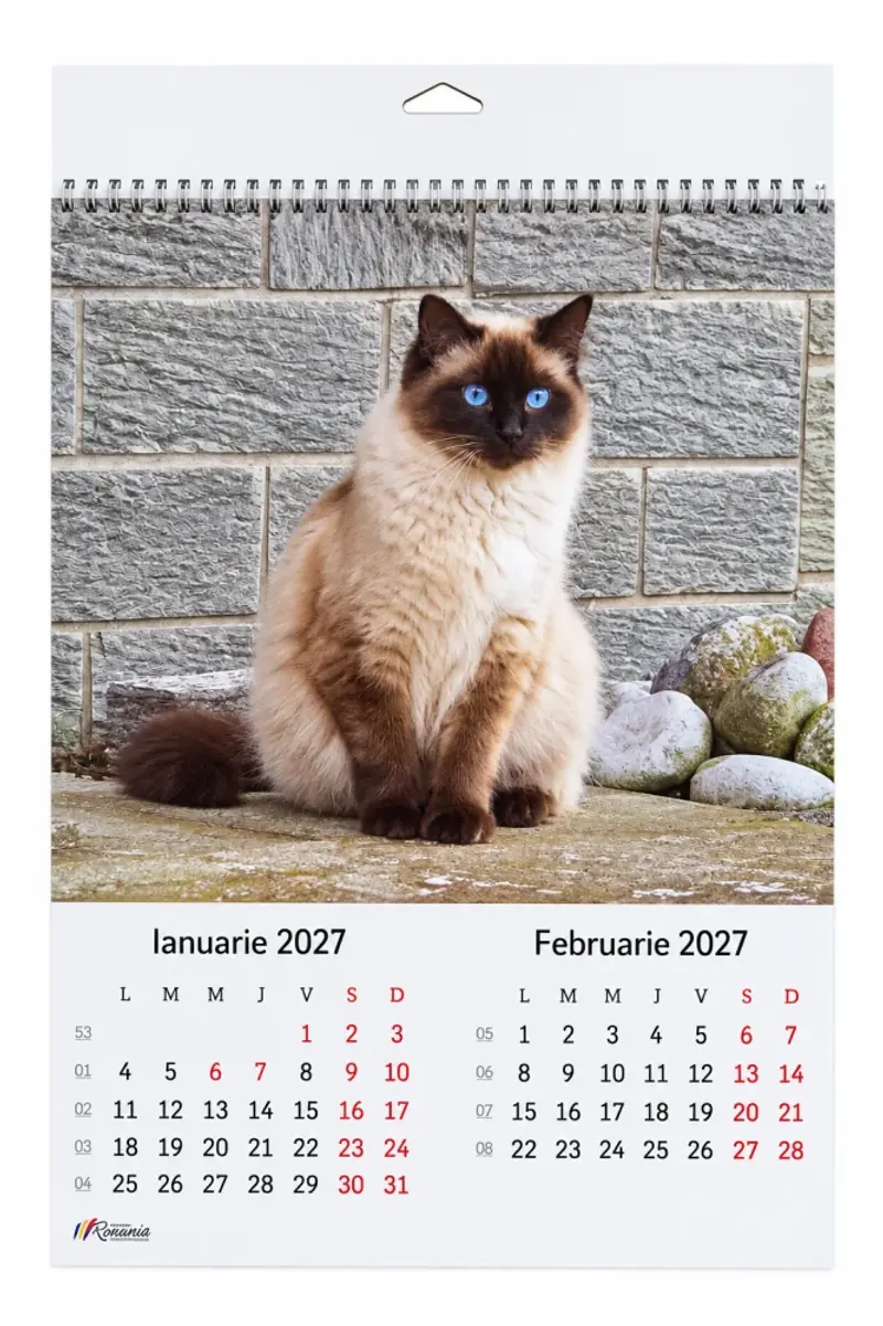 Calendar A3 6 coli - Pisicute 2027